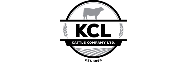 Feedlot Equipment Solutions | KCL Cattle Company: Enhancing feedlot efficiency and productivity with SHIMEK Industries' trusted solutions.