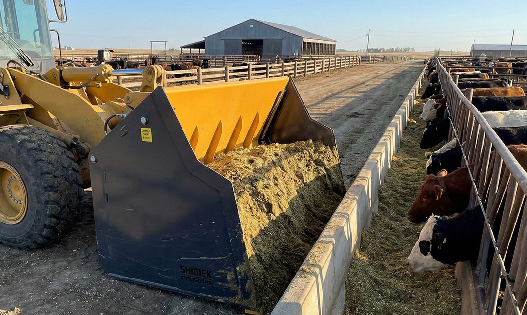 Buying a New Cattle Feeding Loader Start with the Bucket.